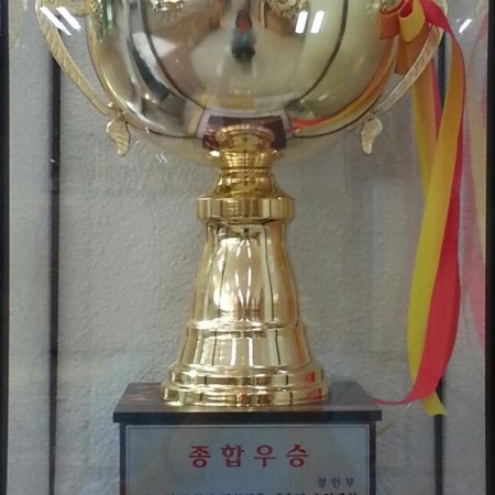 16회수원시생활체육대축전.JPG